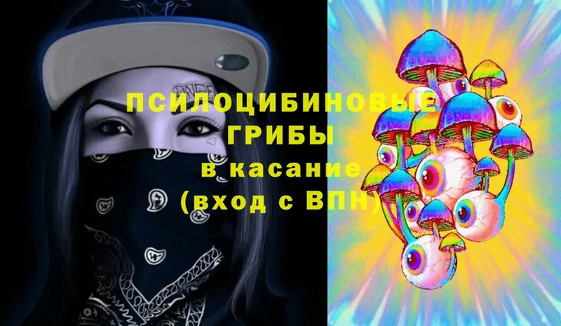 Псилоцибиновые грибы MAGIC MUSHROOMS  Коломна 